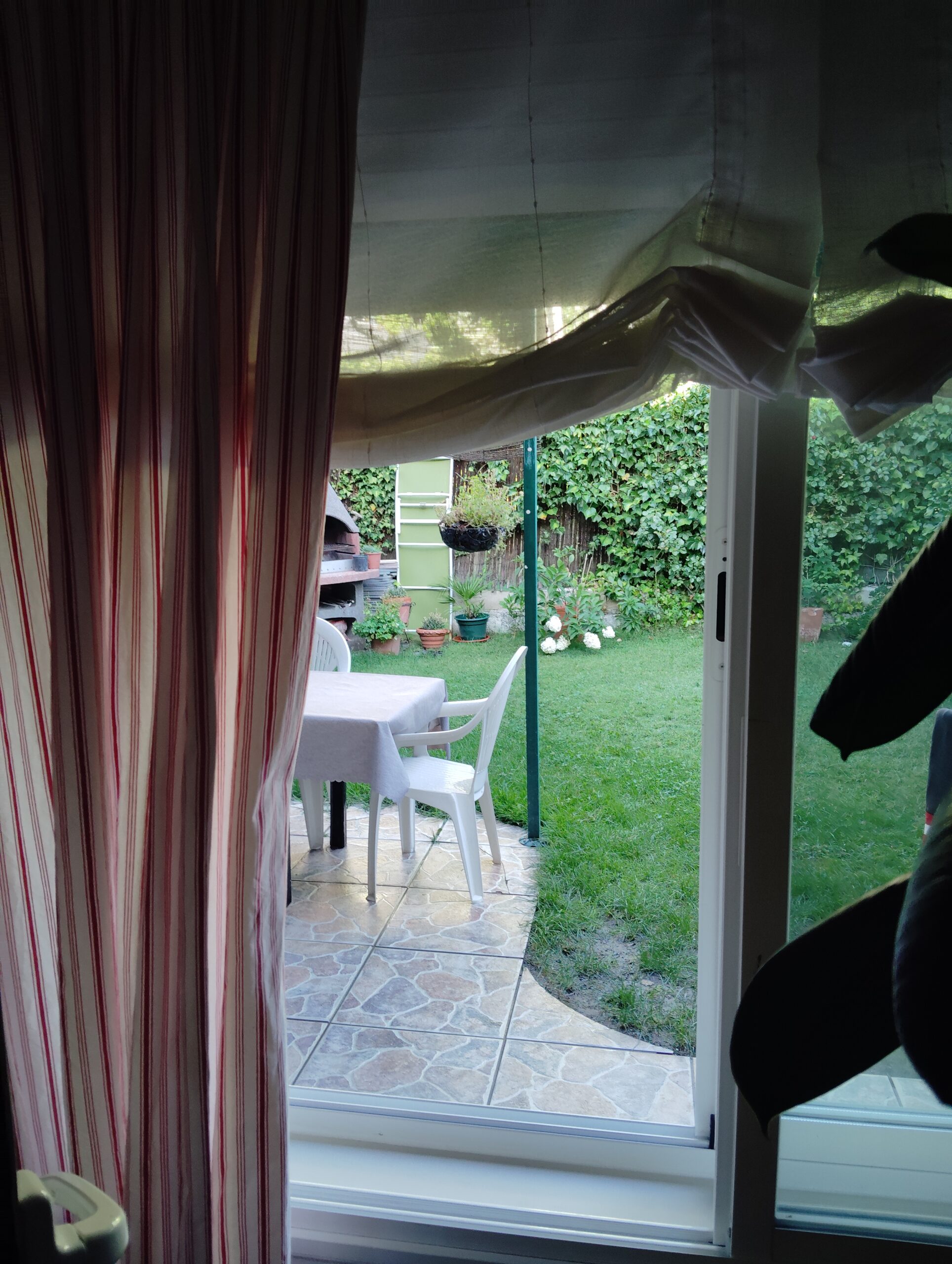 jardin 1